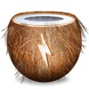 Icon von coconutBattery