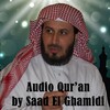 Icona di Audio Quran by Saad El Ghamidi