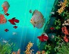 Icona di Coral Reef Aquarium 3D Animated Wallpaper