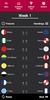 Spanish League Simulation screenshot 8