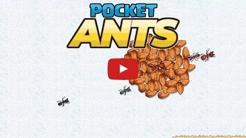 วิดีโอการเล่นเกมของ Pocket Ants 1